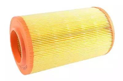 Фильтр воздушный PEUGEOT Boxer CITROEN Jumper FIAT Ducato (06-) BSG BSG70135003 BSG