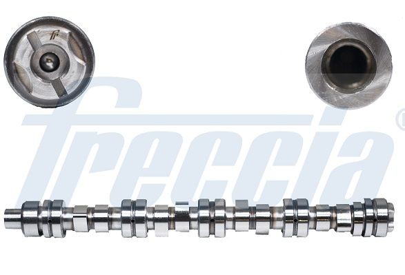распредвал!\ Ford Escort/Orion/Fiesta 1.1-1.6 80-95 CM052153 FRECCIA