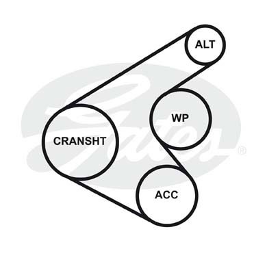 Ремень приводной поликлиновой 6PK1220 HAVAL Jolion GATES 6PK1220 GATES