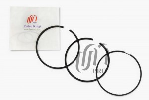 Кольца поршневые STD Iveco Daily 3,0JTD F1CE0481 d95.8 STD 2.5-2.0-2.5 на 1 цил. PR1601000 UNITED MOTORS PRO