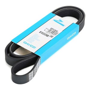 FORD TRANSIT (2006-2013) 6PK1640 DAYCO