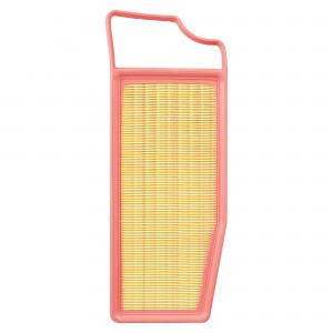 VOYAH DREAM (2021>) TR55785 CARVILLE RACING