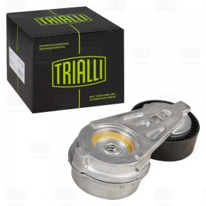 Ролик привод. ремня для а/м ГАЗ Volga Siber/Chrysler Sebring (00-) 2.4i (с натяж CM5758 TRIALLI