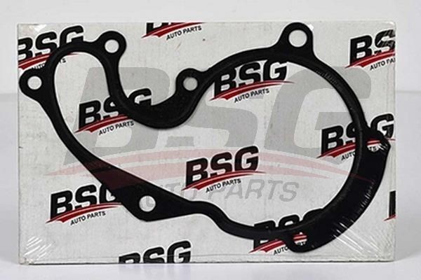 Прокладка FORD Focus (98-11),Mondeo (07-) (1.8 TDCI/TDDI) насоса водяного BSG BSG30116017 BSG