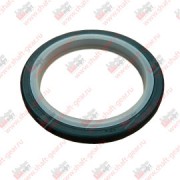 Сальник 85x105x10 1763-00053,17V05-01509 734310113 SHAFT