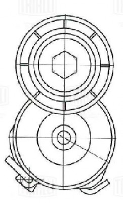 Ролик привод. ремня для а/м Peugeot Partner 05- 1.6d с натяж. мех. CM5462 CM 5462 TRIALLI