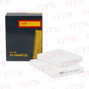 Фильтр воздушный салона SCANIA P,G,R,S series (комплект 2шт) GTS G110440152 GTS