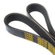 CITROEN C2/C3/C4/ OPEL ASTRA H 1.9TDI-2.0TDI GIE37121 GANZ