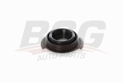 FORD EUROPA FIESTA/MONDEO/TRANSIT BSG 30-116-134 BSG