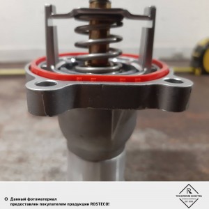 Прокладка термостата 20875 ROSTECO