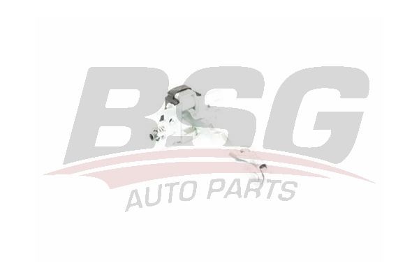 Ограничитель двери RENAULT Scenic 3 передней BSG BSG75975007 BSG