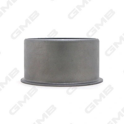 Ролик ГРМ опорный Hyundai Sonata (EF), Santa FE I (SM), Trajet 2.0 (98-15) GT100 GT10061 GMB