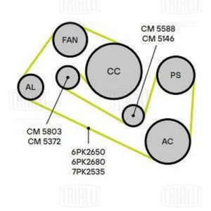 ролик обводной ремня ГРМ!\ Audi A8 3.7i/4.2i 03> CM 5146 TRIALLI