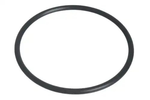 прокладка топливного насоса! Audi A1-A8, Skoda Fabia/Octavia/Superb, VW Golf 06> Z08177 ZENTPARTS