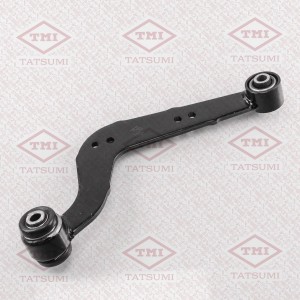 TOYOTA RAV 4 (2006-2013) TEE1721R TATSUMI
