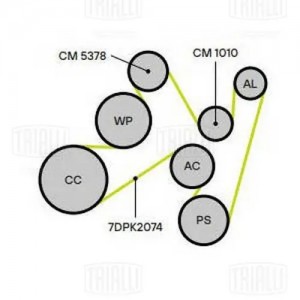 Ролик приводного ремня опорный CM1010 TRIALLI