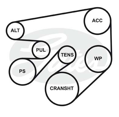 Поликлиновой ремень 6PK2550 (8653-10505) 6-PK-2550 GATES