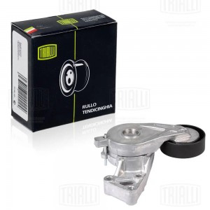 Ролик привод. ремня VW Transporter T5 (03-) 1.9TDi (с натяж. мех.) (CM 5189) CM 5189 TRIALLI