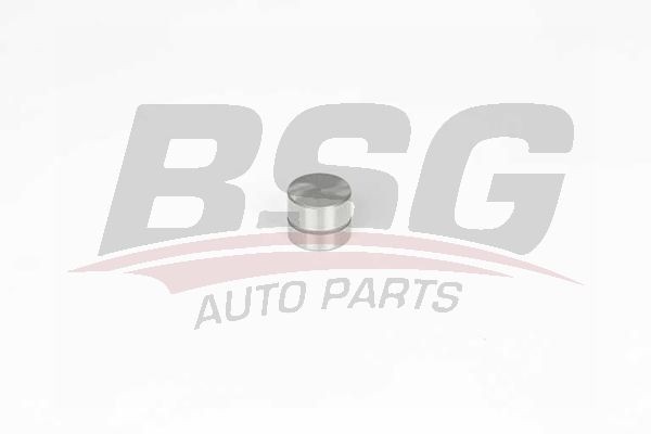Гидрокомпенсатор OPEL Astra G (98-05) BSG BSG65122022 BSG
