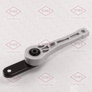 TIGUAN (2007-2011) TEG1385 TATSUMI