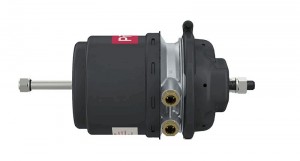 Энергоаккумулятор дискового тормоза Тип: 24/24 ; PRO4810120 PROVIA