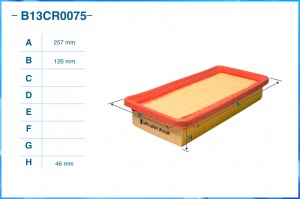 Фильтр воздушный B13CR0075 B13CR0075 CWORKS