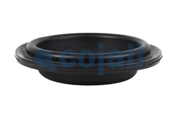 Диафрагма энергоаккумулятора T20 6001114 COJALI