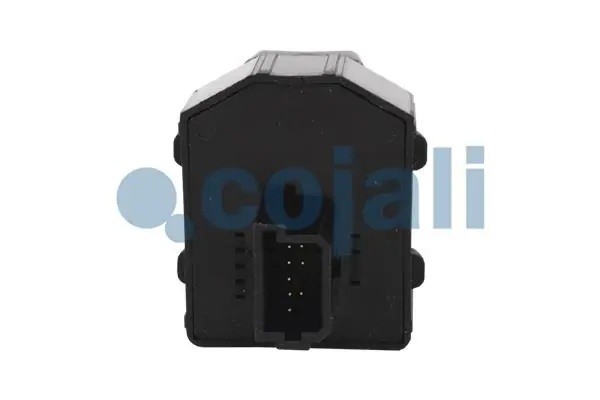 Кнопка управления зеркалами 2260481 COJALI