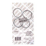 AUDI / SEAT/SKODA/VW 1.4 16V - требуется 4шт на мотор GIE11093 GANZ