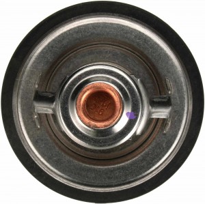 Термостат TH34590G1 GATES