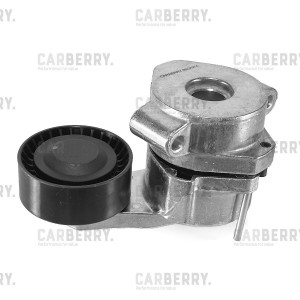 PEUGEOT BOXER (2006>)/ FIAT DUCATO (2006>) 55CA274 CARBERRY
