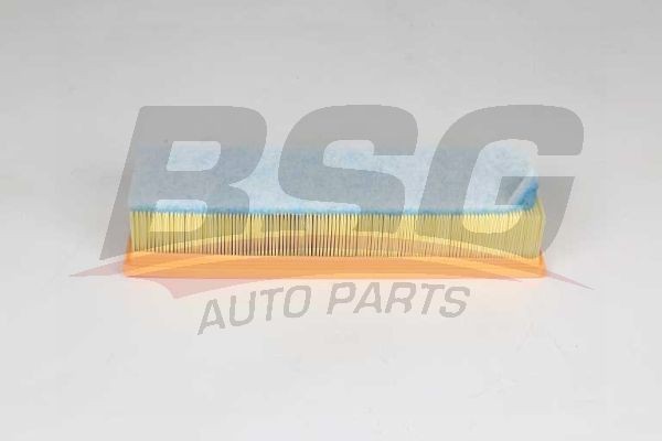 Фильтр воздушный BMW 5 (F10,F18),X4 (F26) BSG BSG15135021 BSG