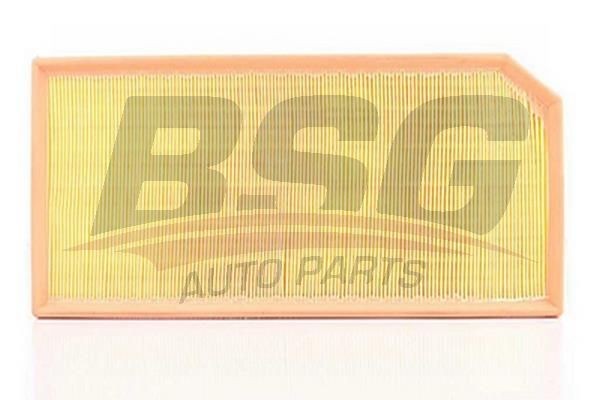 Фильтр воздушный VW Golf 5,Passat B6 (2.0 TFSI) AUDI A3 (04-) BSG BSG90135015 BSG