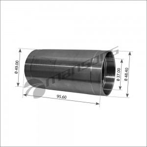DAF 95XF 200.104 MANSONS