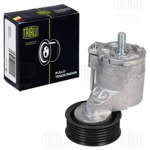 Ролик приводного ремня с натяжным механизмом CHERY TIGGO (06-) 1.6/1.8 CM 3003 TRIALLI