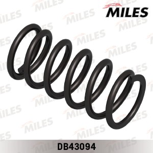 Пружина задней подвески HYUNDAI SANTA FE 2.0CRDi/2.4/2.7 4WD 01- (KYB RD5934) DB DB43094 MILES