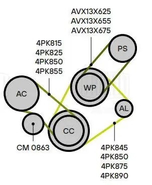 HYUNDAI ACCENT/ELANTRA/LANTRA/MATRIX CM 0863 TRIALLI