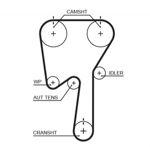 Ремень ГРМ FORD Focus,Kuga,Mondeo RENAULT Laguna VOLVO C70,S40,S60,S70 (142х23)  5509XS GATES