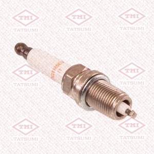 AUDI/BMW/FORD/KIA/HONDA/HYUNDAI THS4011 TATSUMI