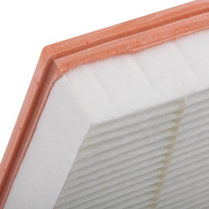 RENAULT MEGANE 02>/SCENIC 99> C2439 MANN FILTER