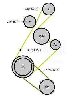 Ролик привод. ремня для а.м Ford Mondeo V (15-) 2.0T (опор.) (CM5721) CM5721 TRIALLI