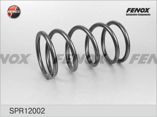 пружина подвески! задняя\Toyota Rav 4 2.0V/Vti 00-05 5 дв. SPR12002 FENOX