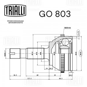 LDV MAXUS (2005-2009) GO 803 TRIALLI