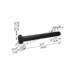 болт амортизатора! М20х2x55 L=170 Schmitz 780.020 MANSONS