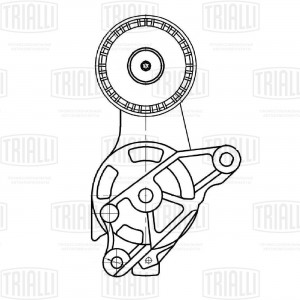 Ролик привод. ремня VW Passat B6 (05-) 1.9d/2.0d [EA180] (с натяж. мех.) (CM 510 CM 5107 TRIALLI