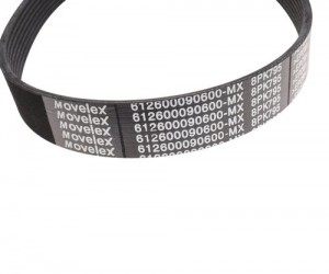Ремень приводной поликлиновой 8PK795 SHACMAN SHAANXI вентилятора, генератора MOV 612600090600MX MOVELEX