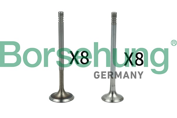 к-кт клапанов! впуск./выпуск. 16шт. 29.5x6x100.9\ VW Bora/Golf/Polo/Caddy 1.4/1. B18630 BORSEHUNG