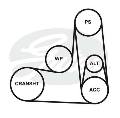Поликлиновой ремень 6PK1548 (8653-10336) 6-PK-1548 GATES
