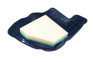 Фильтр воздушный BMW 5 (F07,F10),6 (F06,F12),7 (F01,F02),X5 (E70),X6 (E71) (09-) AF179 RAF FILTER