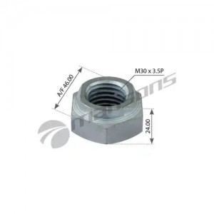 Гайка (M30x3.5P H24 A/F46)  10шт 300.098 MANSONS